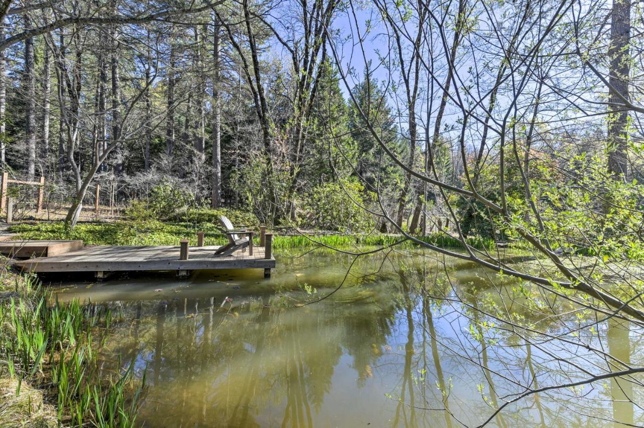 Peaceful Grass Valley Cottage With Bbq Grill And Yard! المظهر الخارجي الصورة