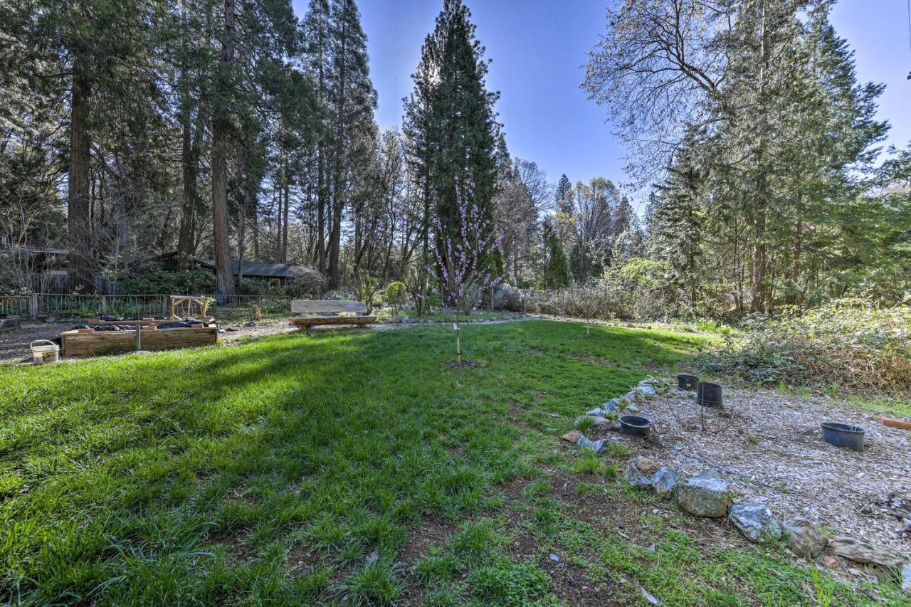 Peaceful Grass Valley Cottage With Bbq Grill And Yard! المظهر الخارجي الصورة