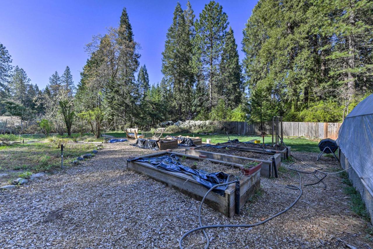Peaceful Grass Valley Cottage With Bbq Grill And Yard! المظهر الخارجي الصورة
